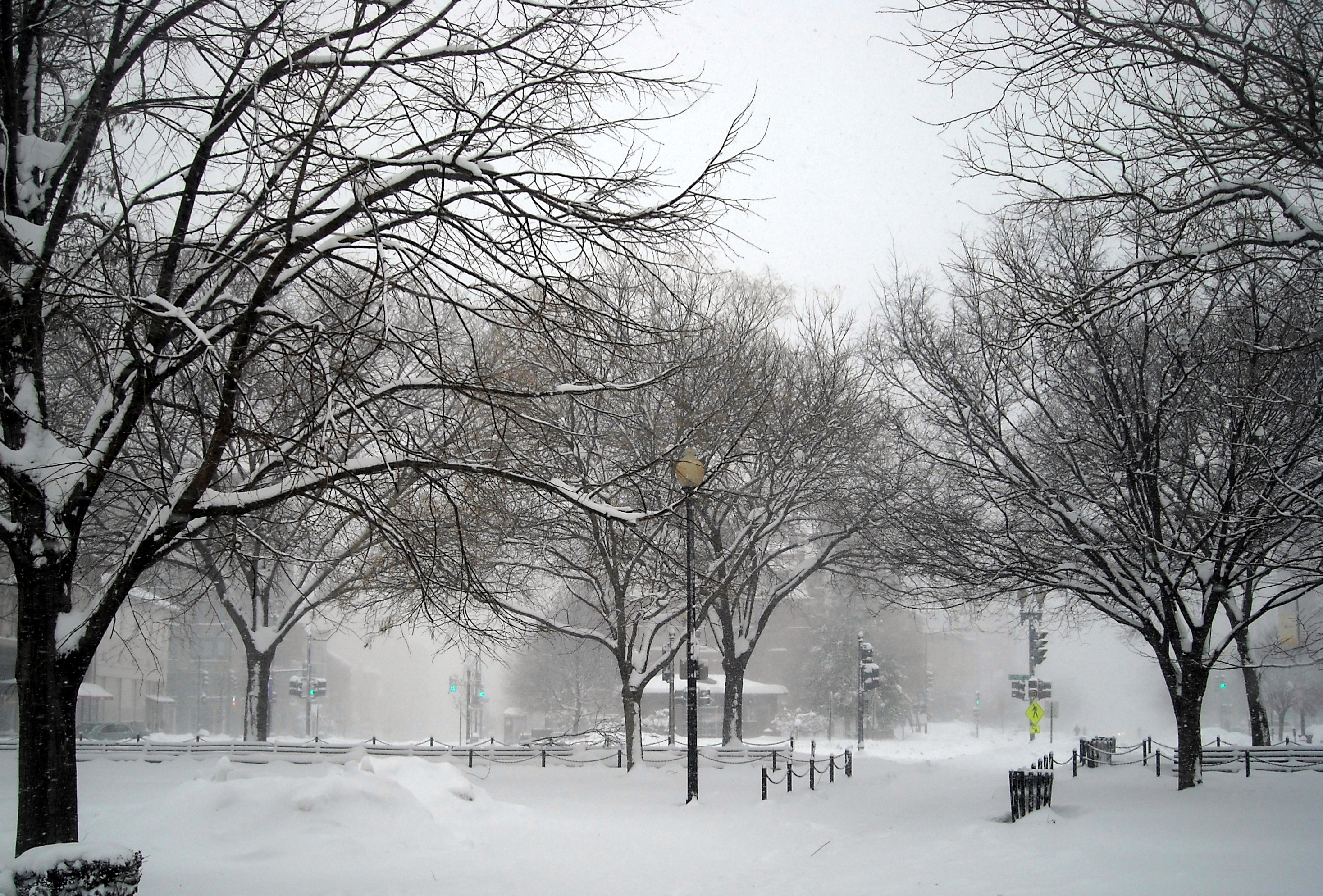 Blowing snow obscures the streets beyond snow-covered trees and lamps in Washington’s Dupont Circle.